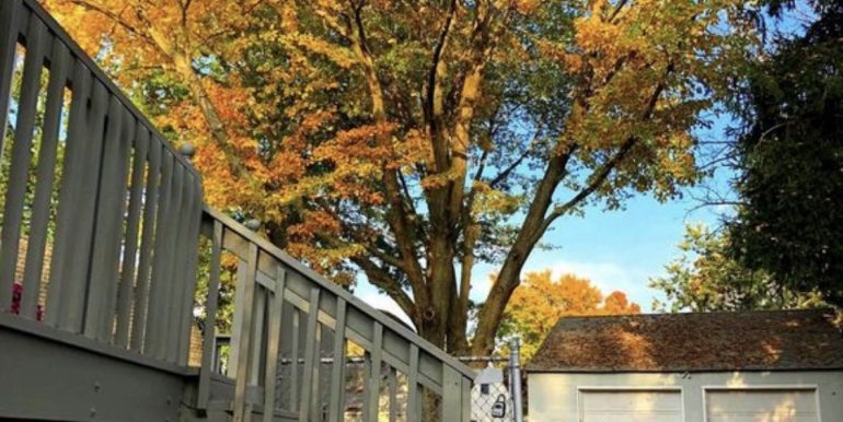 IMG_0041